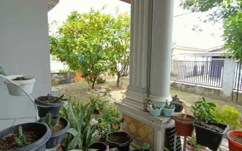 Dijual Rumah Luas Dipekanbaru Jalan Nangka