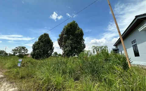 Dijual Cepat Tanah Lokasi Staretegis, Nyaman, Dan Asri Di Pekanbaru