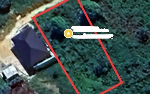 Dijual Cepat Tanah Lokasi Staretegis, Nyaman, Dan Asri Di Pekanbaru