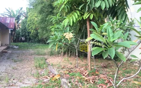 Dijual Rumah Satu Lantai  Dengan Tanah Luas Dijalan Kuantan Di Pekanbaru