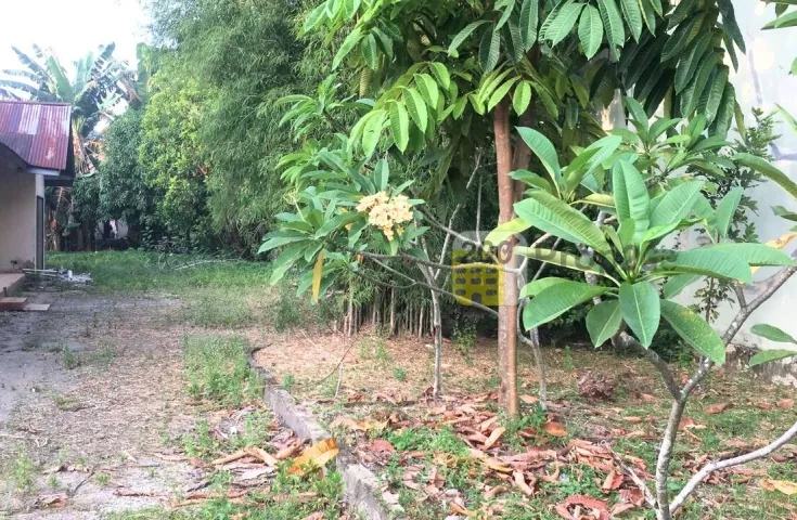 Dijual Rumah Satu Lantai Dengan Tanah Luas Dijalan Kuantan Di Pekanbaru