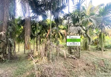 Dijual Tanah  Kebun, Lokasi Strategis Di Pekanbaru
