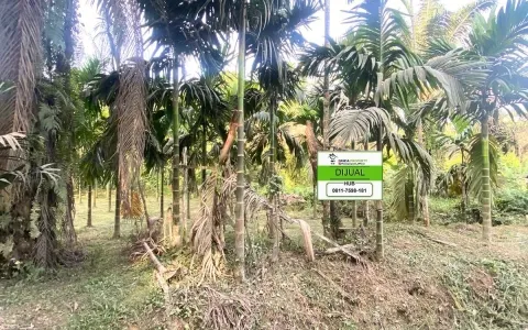 Dijual Tanah  Kebun, Lokasi Strategis Di Pekanbaru