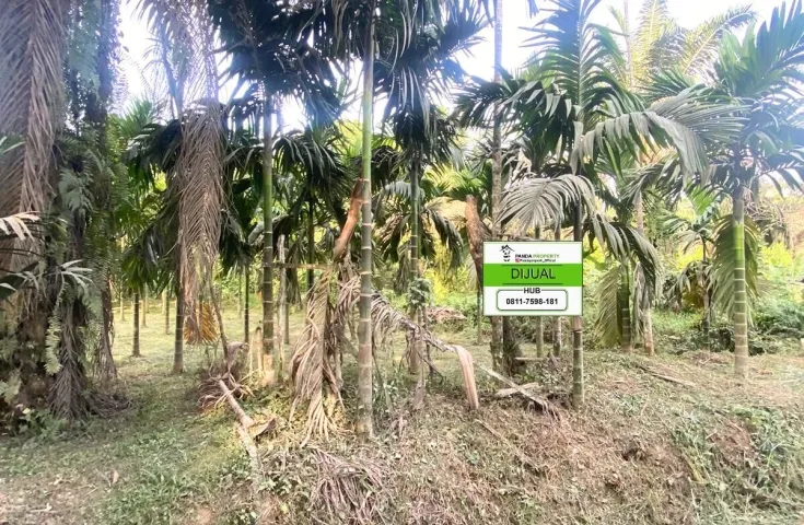 Dijual Tanah Kebun, Lokasi Strategis Di Pekanbaru